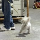 영계마을2 이미지