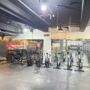 크로스핏엘리펀트 이미지