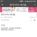 폰토피아