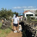 하귤소담 이미지