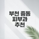 부천아이스피부과의원 네이버블로그