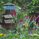 메밀촌 봉평 막국수 이미지