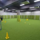 서울염경초등학교 | 염창초·염동초·염경초 예비 8세·9세 축구 │ 솔뫼축구센터 강서염창점 유소년부 신규 모집 후기