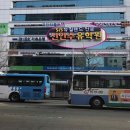 신인수유학원부산 이미지