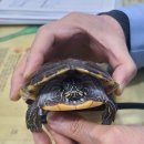 뉴월드 동물병원 이미지