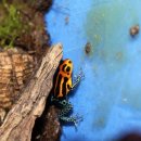 베라데로 이미지