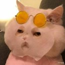 홍피부