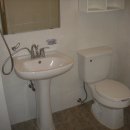 유성초교 이미지