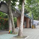 연대앞 공중화장실 이미지