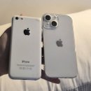 11650-16-95-7 | 빈티지디카st 올드 아이폰 5c 작례 모음 1 (아이폰 13미니 , Ixus 95 is 색감 비교)