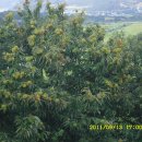 삼수농장 이미지