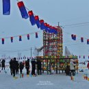 새바라기 이미지