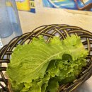 꿀꿀뒷고기 이미지