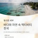 발리