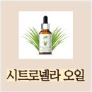 시트로넬라 에센셜 오일 모기퇴치 효과, 20년 사용한 모기퇴치스프레이 후기