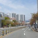 성지연꽃길 이미지