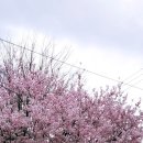 씨유 군포지샘병원점 | 군포 지샘병원 근처 온담, 낮엔 군포 카페 밤엔 군포 맥주 즐기기 좋은 곳