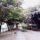 잠원동방음언덕형공영주차장 이미지