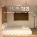 경주 보문단지 숙소 추천 가성비 보니또 펜션 203호 후기