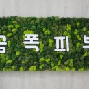 지에스수퍼강서 이미지