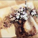 함소아(含笑兒)한의원 이미지