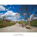 눈늪목장 이미지