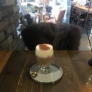 에코의 서재 | 용인 도쿄 킷사텐 감성 카페ㅣ보정동 카페거리 "에코의 서재"