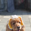 리버하우스 이미지