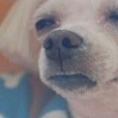 프라임홀 이미지