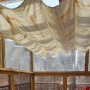 룰루랄라 강하점 이미지