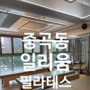 25 | 중곡동 필라테스 일리움 체험 후기 자세교정 효과 솔직리뷰