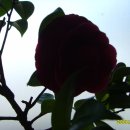 김천보건소 이미지