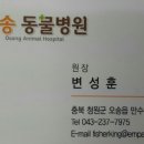 만수동물병원 이미지