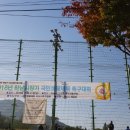 교산동 족구장 Daum카페