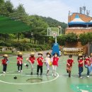 산울림 이미지