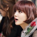 어울리니