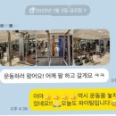 와야짐 이미지