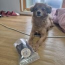 멍마고우 이미지