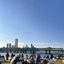 용산-이촌-306 | [서울] 노들섬 공사 전에 가을 피크닉과 일몰 감상