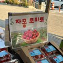 투마토