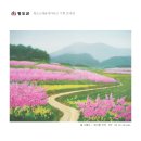 소싸움테마파크 이미지
