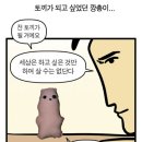 토끼굴 - 구미시 | 토끼굴