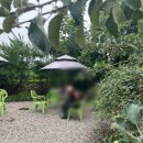 세븐일레븐 사능역카페점 이미지
