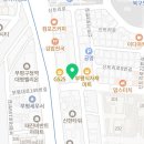 인천부평 요미독앤캣 강아지분양 고양이분양 이미지