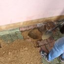 초곡리 경로당 이미지