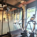 리바이브 PT 이미지