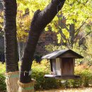 국채보상공원 Daum카페