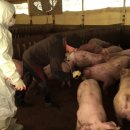 소보소농장 이미지