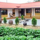 강릉초이 이미지