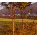 능암온천주유소 이미지